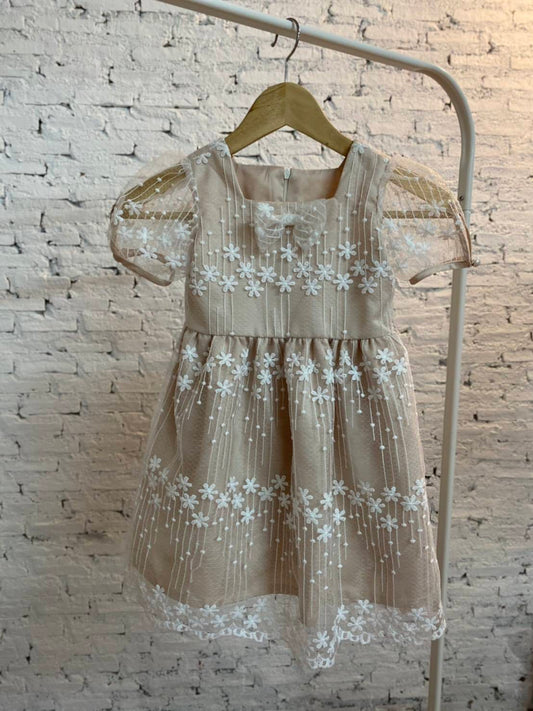 Little Alyssa Dress (2-3T)