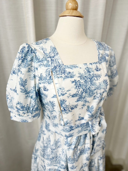 Versa Cotton Dress with Nursing Zippers in Vintage Blue Toile