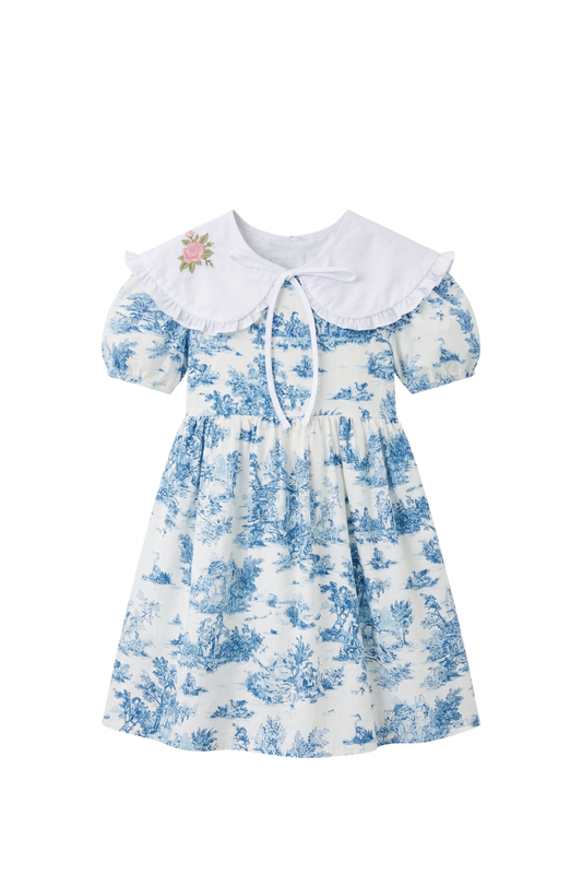 Little Girl's Removable Rose Embroidered Collar in White