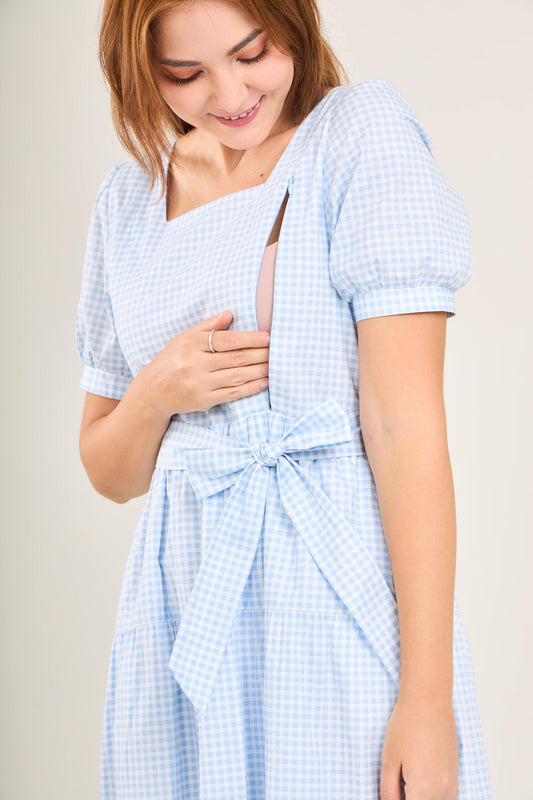 Versa Cotton Dress with Nursing Zippers in Light Blue Gingham