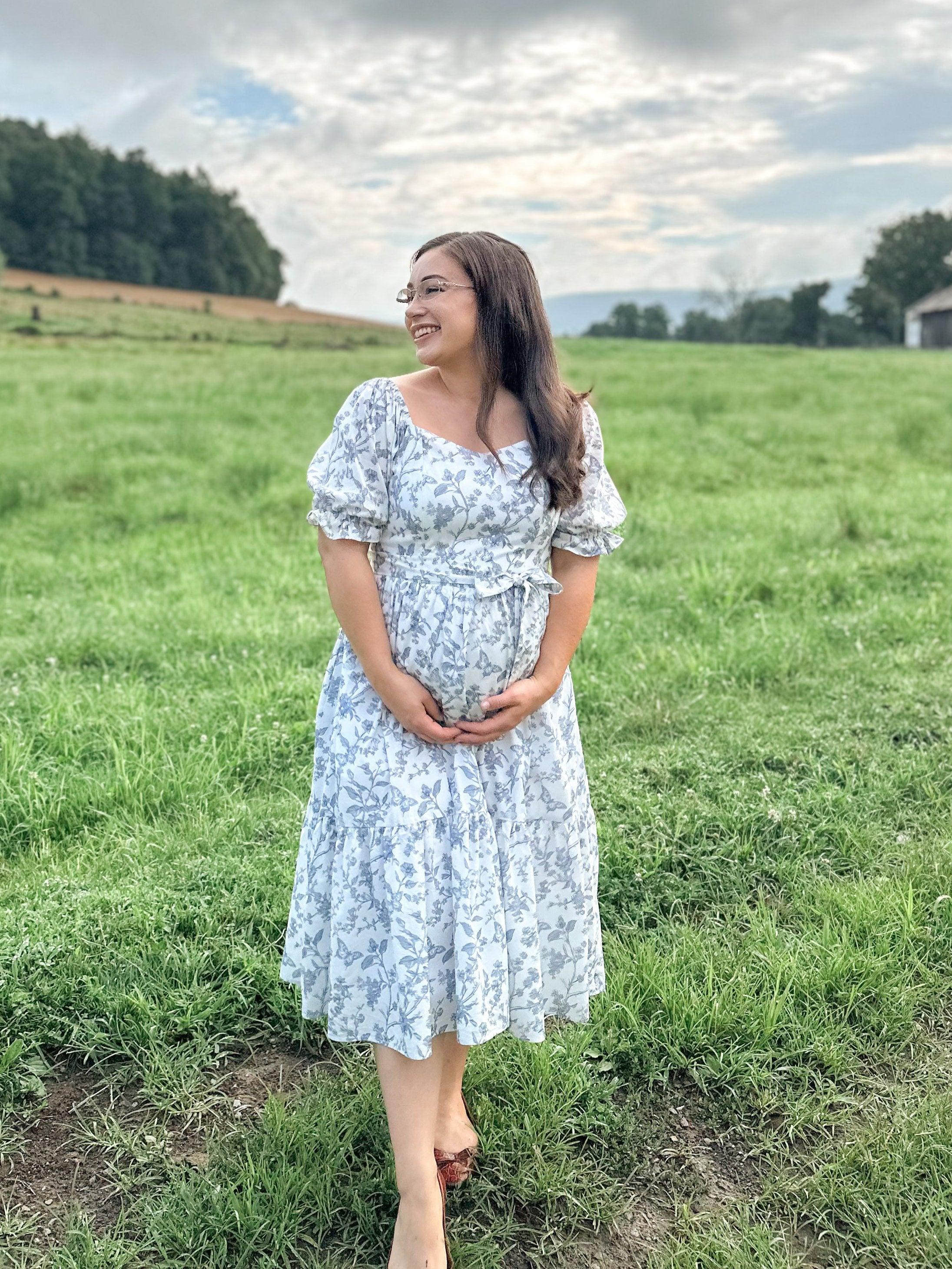 midi dress for mom Ann Midi Dress with Nursing Zippers in Blue Toile Butterfly L (US10/12)