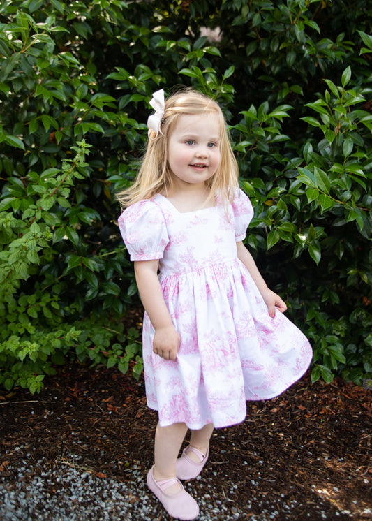 Little Lan Dress in Pink La Mere Toile (Ready-to-Ship)