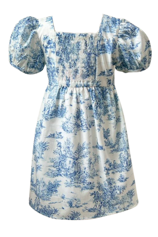 Little Darling Puff Sleeve Dress for Girls in Vintage Blue Toile